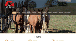 Desktop Screenshot of painthorse.cz